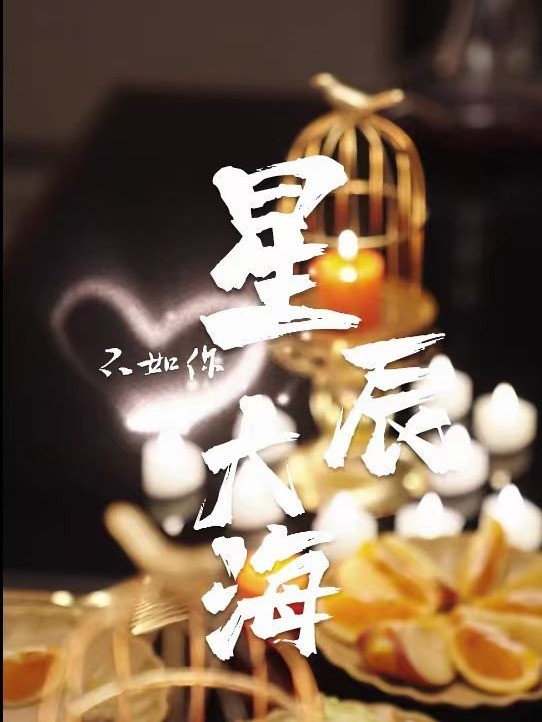 星辰大海不如你