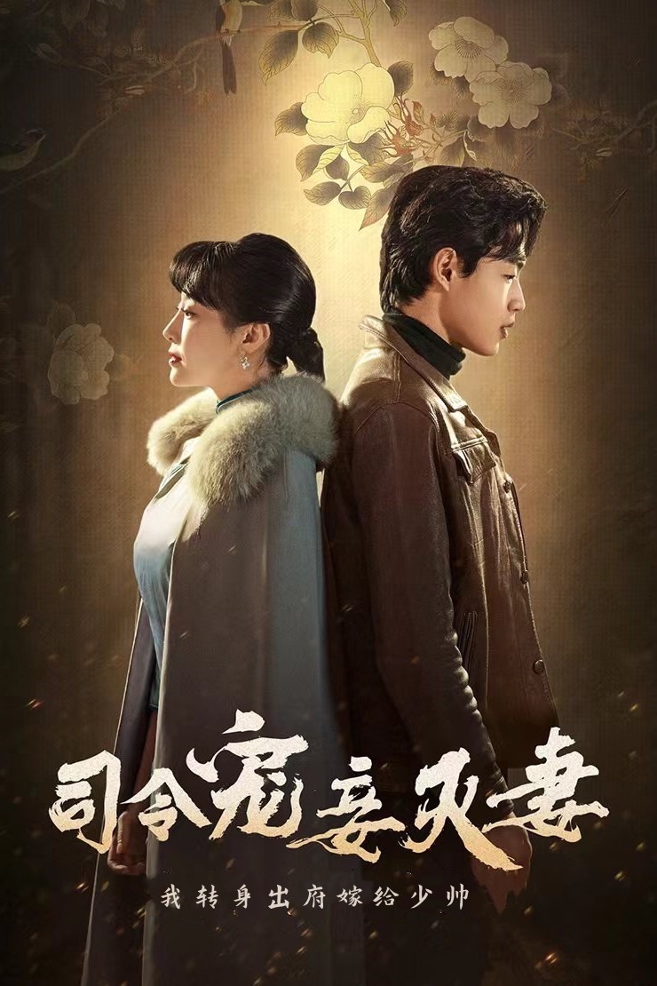 司令宠妾灭妻，我转身出府嫁少帅